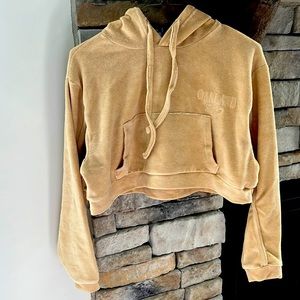 Stone velour cropped hoodie